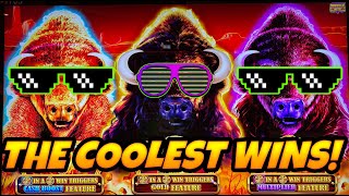 🎉🎉 RECORD BREAKING HANDPAYS ON BUFFALO GOLD CASH COLLECTION! #slot #casinogame #neslots #ne82