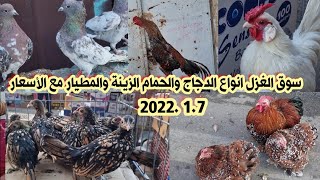 سوق الغزل انواع الدجاج والحمام المطيار والزينة مع الأسعار 2022/1/7