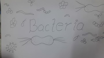 pneumonia(bacteria disease)