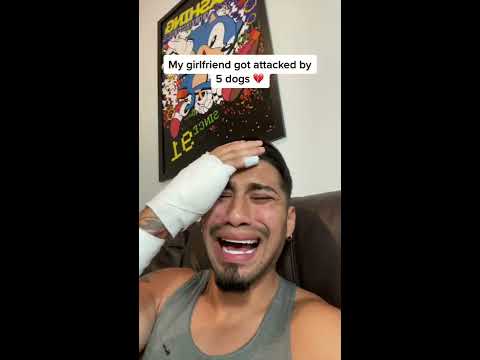 My Girlfriend Got Attacked By 5 Dogs Shorts
