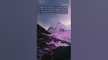 إِنَّ اللَّهَ يَرْزُقُ مَنْ يَشَاءُ بِغَيْرِ حِسَابٍ || سورة آل عمران الآيات (٣٧) (٣٨)#القرآن_الكريم