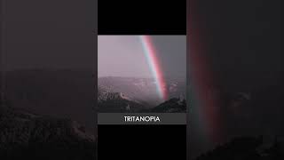 How People With Color-blindness See The World: Tritanopia #shorts #fyp