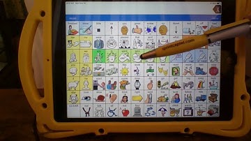 LAMP WFL Motor Plan and Verbs