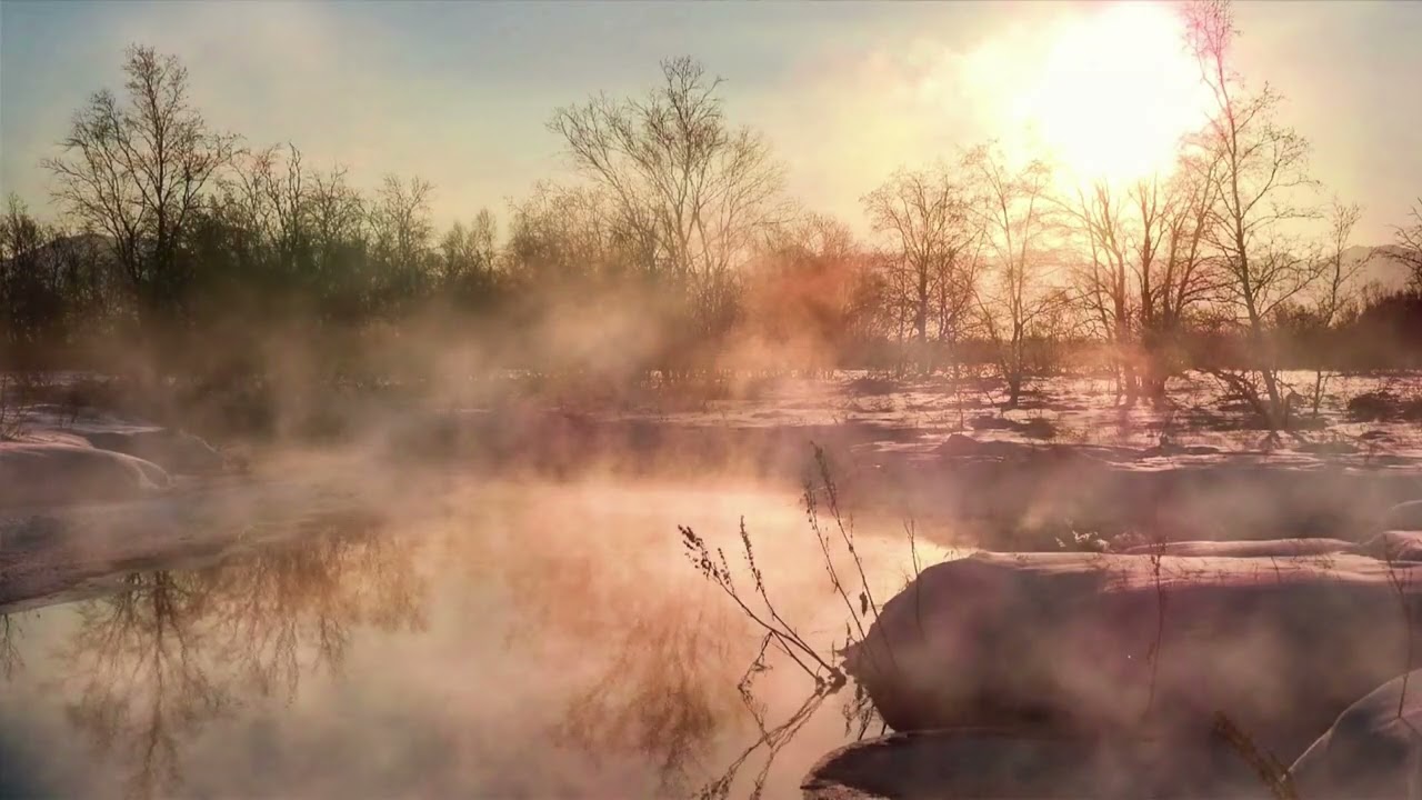 Rising Intelligence | Zenith Winter Insight - 120 Min Deep Immersion