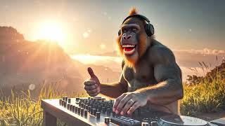 🎧Sonic Elevation: Bass & Trance Uplift🎧