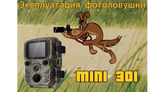 #эксплуатацияфотоловушки #MINI301 #фотоловушка #мещера #природа #фотоохота