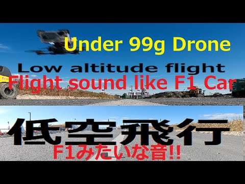 地面接触❗️U99　DRONE　Low　altitude　flight　99g以下ドローン低空飛行