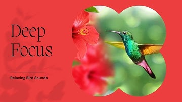 5 minute Soothing Birds Singing in Forest | Romantic Piano Music | Deep Focus