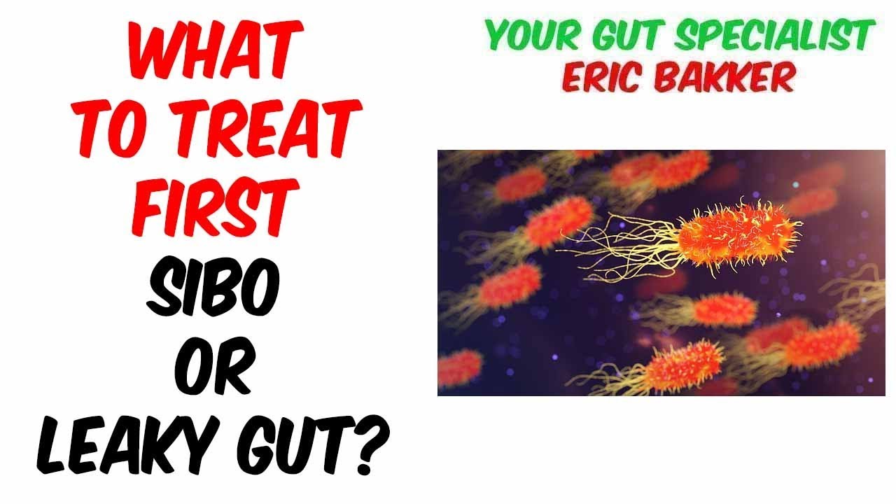 If You Have SIBO Candida and Leaky Gut What Do You Treat First? - YouTube