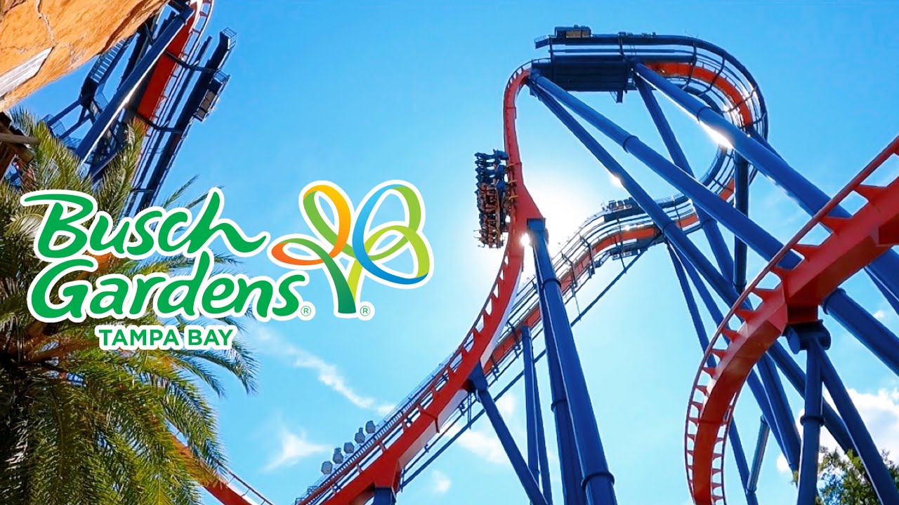 Busch Gardens Tampa Rides YouTube