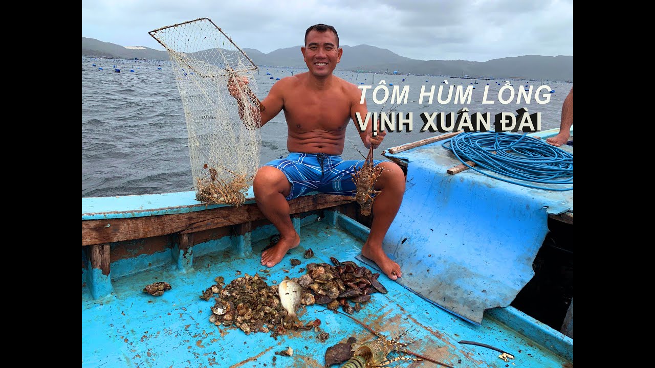 tôm hùm nha trang  2022 Update  Thăm lồng tôm hùm vịnh Xuân Đài, Sông Cầu, Phú Yên - Lobster cages at Xuan Dai gulf.
