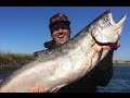 Sacramento River King Salmon Trolling "Prop Water"