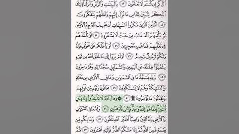 الحزب 28 من القرآن الكريم الشيخ ياسر الدوسري