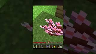 minecraft physic | minecraft curios part2