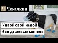 Удвой свой надой без дешевых мансов (Телефонний розіграш) 21.04.2021