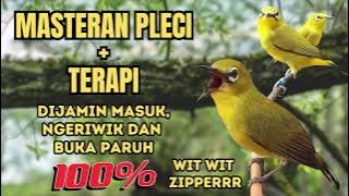 MASTERAN PLECI MATERI MEWAH   TERAPI || Guru vocal terbaik untuk Pleci, dijamin cepat masuk