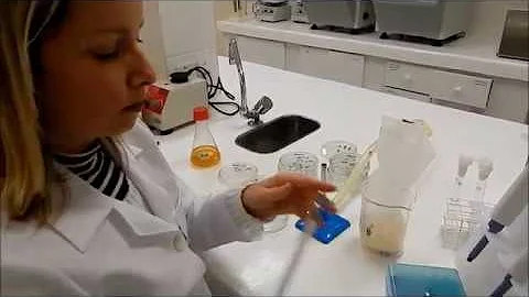 O que é plaqueamento?