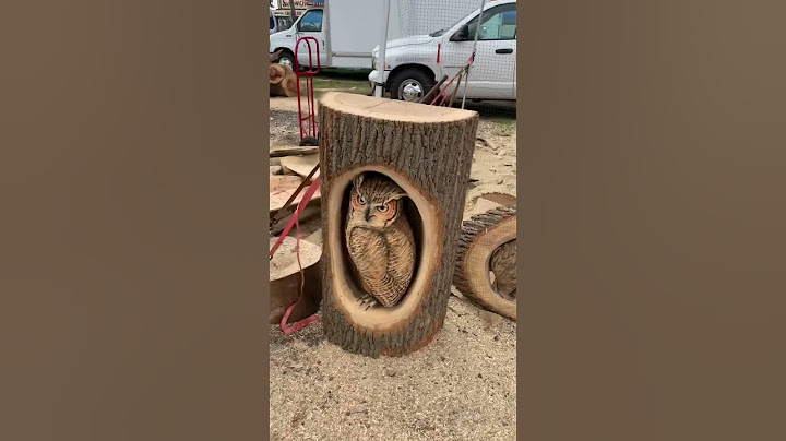 Unbelievable Chainsaw Carving!