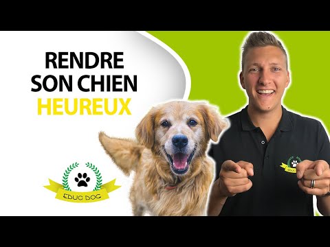 Vidéo: 7 Raisons Pour Lesquelles Votre Chien Peut Avoir Besoin D'un Régime Thérapeutique