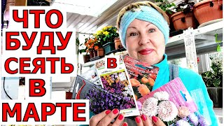 Что буду сеять в марте? Кустовые Петунии, Лобелия, Алиссум, Томаты, Салаты и куда все ставить