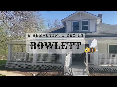 A Bee-utiful Day in Rowlett