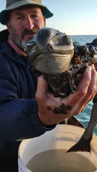 Download lagu This thing still has a PULSE... π± #scary #shorts