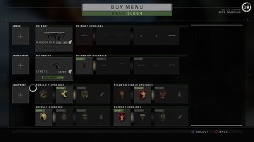 Call of Duty Black Ops 4 Beta Max Level Grind