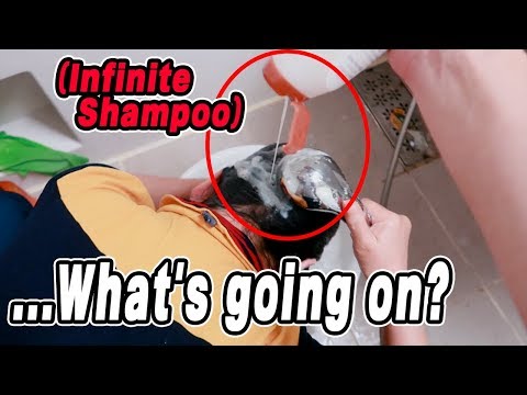 My Mom&amp;#39;s Reaction When I Do Endless Shampoo Prank // 머리 감는 엄마에게 샴푸를 계속 뿌렸습니다