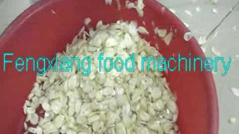 【video】 Fengxiang  food  machinery FC-315  Garlic Shallot Slicing Machine