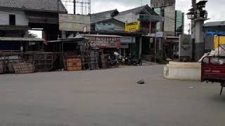 Pertelon Kujang Jatibarang Indramayu Jawa Barat