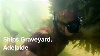 Underwater Ships' Graveyard at Garden Island | Adelaide Freedive Tribe
