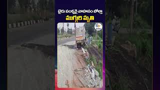 3 Killed, 8 Injured In East Godavari Road Accident Tata Ace Vehicle Overturns Near Rangampeta