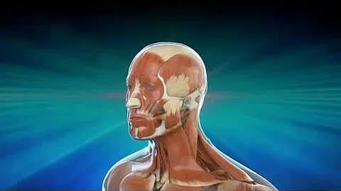 Plastic Surgeon Explains Lengthening Temporalis Myoplasty for Smile Reanimation
