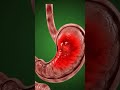 What Happens to Your Body When You Eat Peach Fruit 🍑 Inside Human Body 3D Animation #shorts #viral