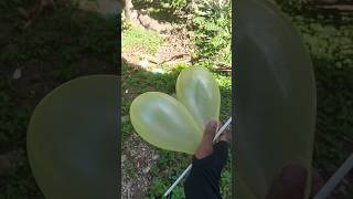 Meletus balon kuning DOOR! #balon #balonku #balonkuadalima #meletusbalonhijau #shorts