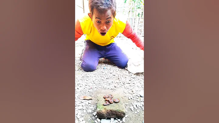 wow ! Found a yellow box but ran away a fear seeing millipedes inside. #shorts #viral #millipede