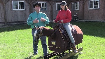 Careful When Riding With Your Wrists - Steve Lantvit Horseman