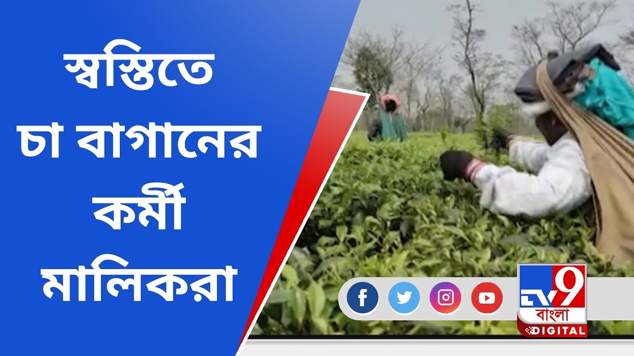 Happy Tea Estate Owner YouTube happy-tea-estate-owner-youtube