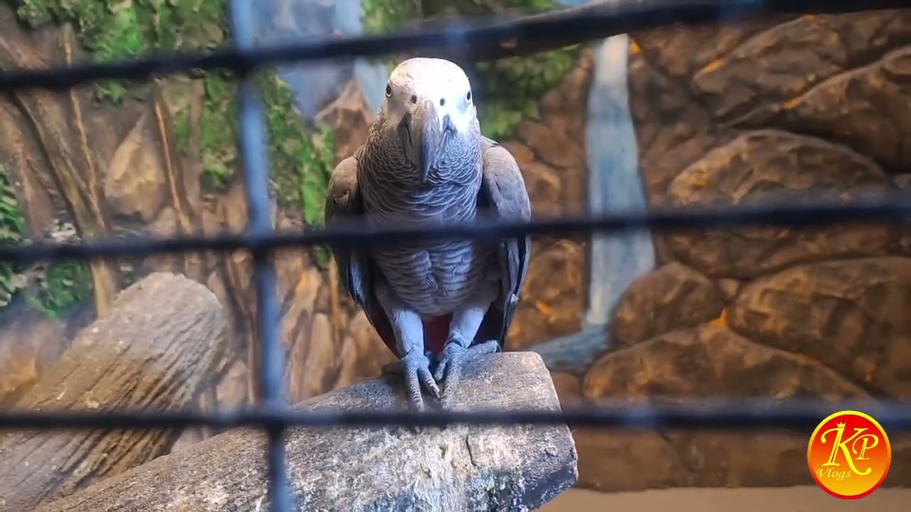 ABLE VILLAGE കാഴ്ചകൾ 