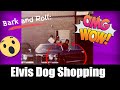 &quot;Bark and Roll: Elvis Presley&#39;s Legendary Dog Shopping Spree in Memphis&quot; Ruth Daniel interview