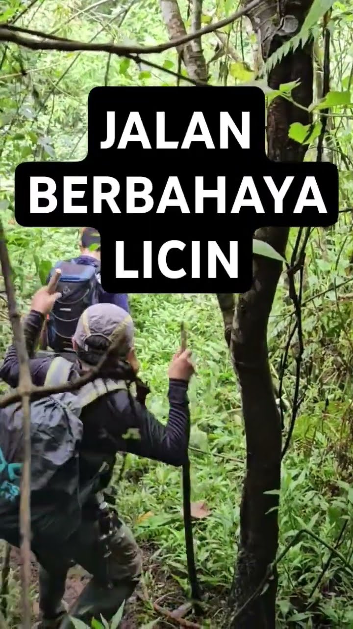Licin Nya...Jalan Setapak