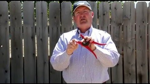 Allflex Red Universal Total Tagger