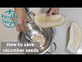 How to save cucumber seeds for next year