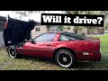 C4 CORVETTE FIRST DRIVE IN 12+ YEARS!