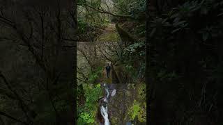 Madeira. Levada. Waterfalls. Chão da ribeira. #shorts