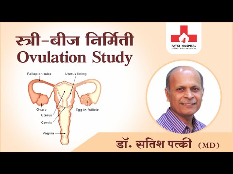 Ovulation Study स्त्री-बीज निर्मिती (Ovulation)