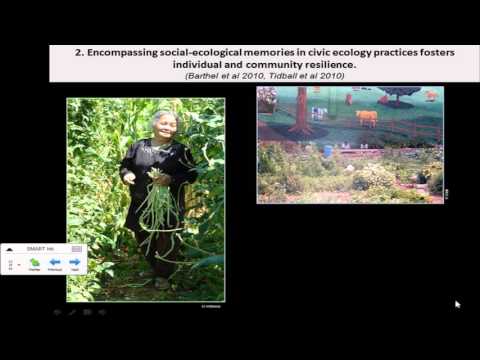 Video: Venkovský Skleník (55 Fotografií): Malé „ekologické“možnosti Pro Letní Sídlo A Zahradu, Je Nutné Na Místě Zaregistrovat Drobné Stavby
