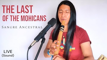 The Last of the Mohicans | Sangre Ancestral Live Session | Native American Music | Flute #subscribe