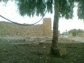 صور من ذمار عنس ذي سحر Pictures From Yemen Thamar Anc Thi Saher صور من ذمار عنس ذي سحر Pictures From Yemen Thamar Anc Thi Saher