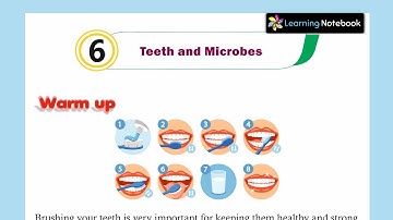 Teeth and Microbes